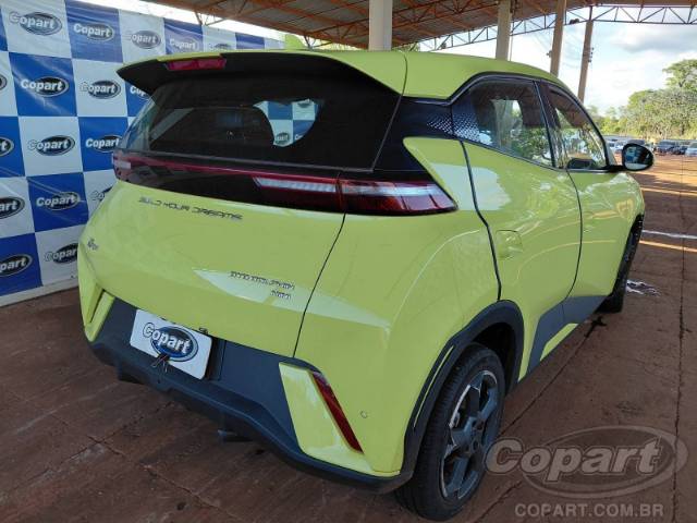2025 BYD DOLPHIN MINI 