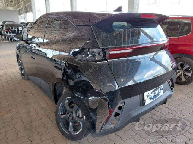 2025 BYD DOLPHIN MINI 