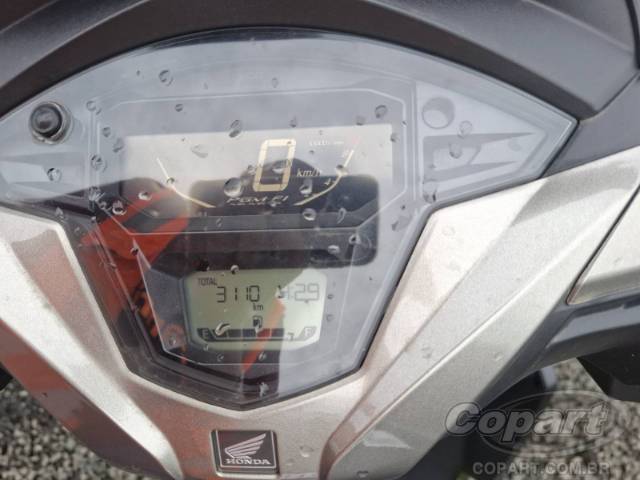 2026 HONDA ELITE 