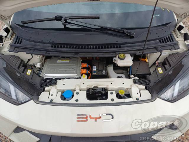 2025 BYD DOLPHIN MINI 