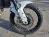 2024 DUCATI DESERTX 