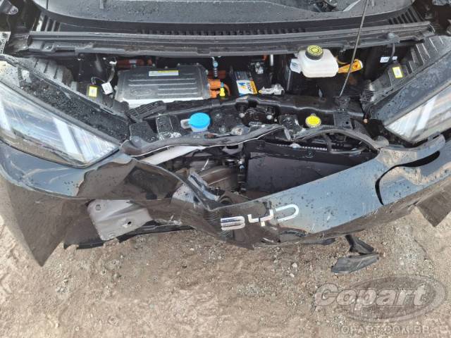 2025 BYD DOLPHIN MINI 