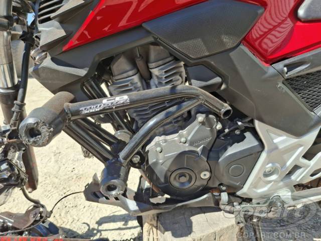2024 HONDA CB 300F 