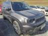 2024 JEEP RENEGADE 