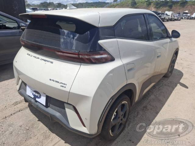 2025 BYD DOLPHIN MINI 