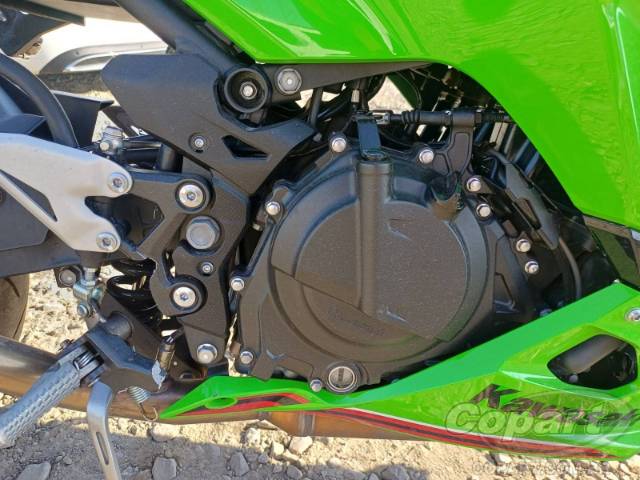 2025 KAWASAKI NINJA 500 