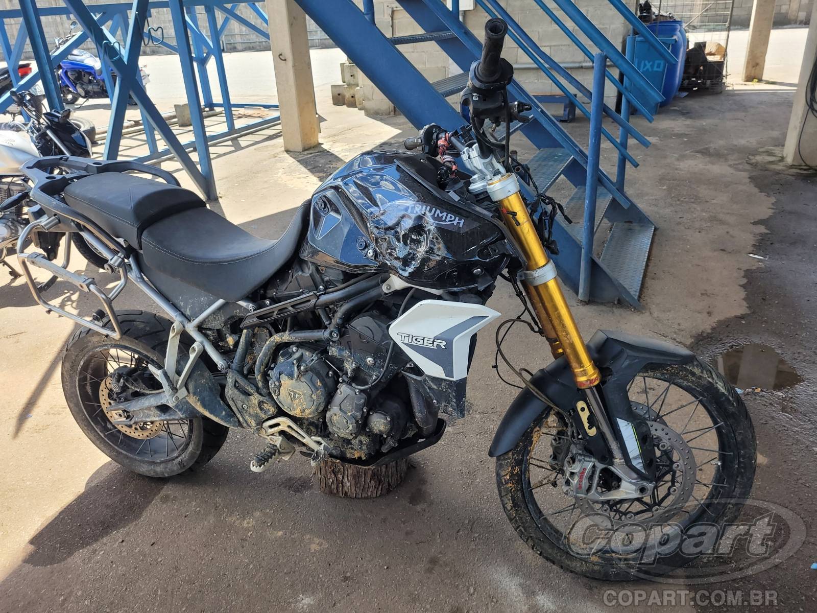 TRIUMPH TIGER 2021