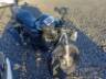 2024 YAMAHA YBR 150 FACTOR 