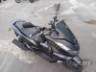 2024 HONDA PCX 