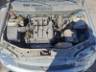 2010 FIAT PALIO 