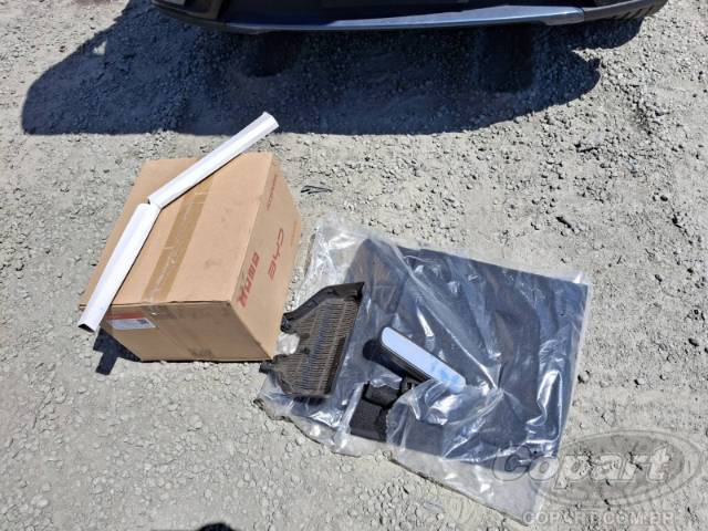 2025 BYD DOLPHIN/YUAN PLUS/YUAN PRO 