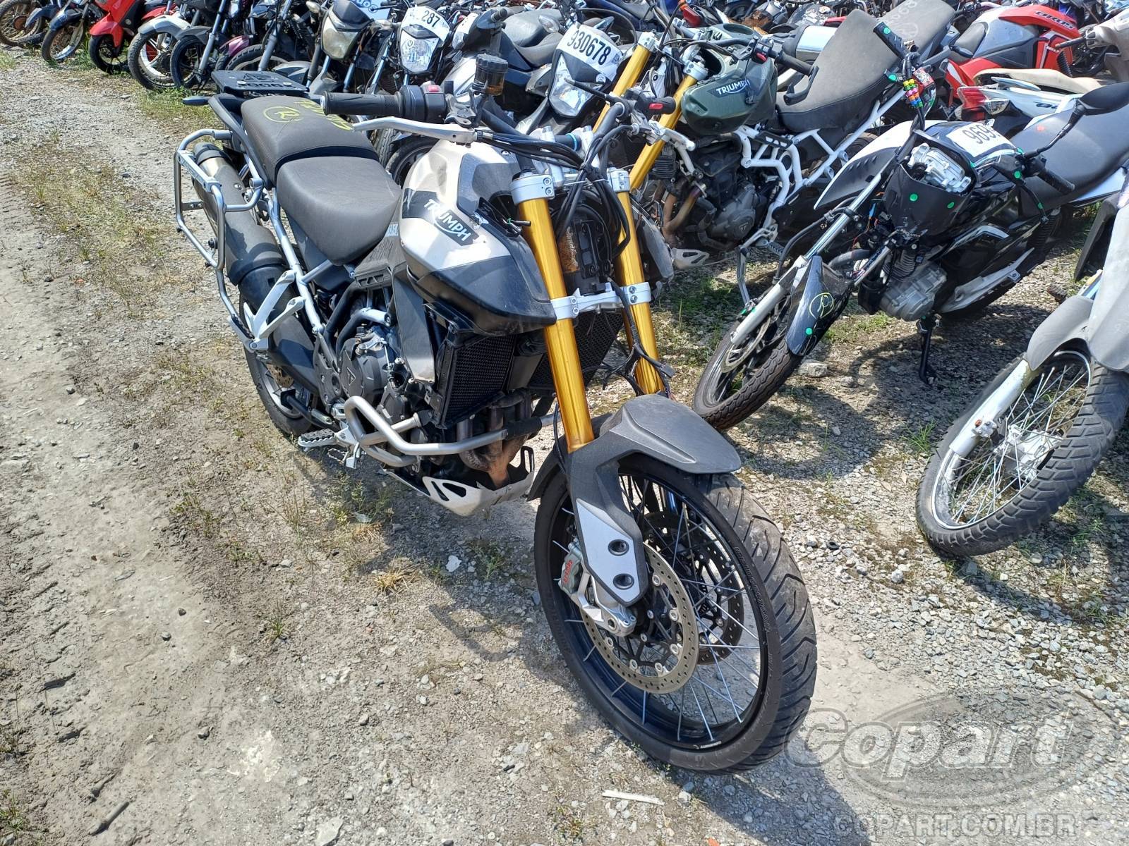 2022 TRIUMPH TIGER 900 RALLY PRO