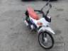 2026 HONDA POP 