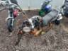 2010 YAMAHA YBR 125 FACTOR 