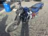 2024 HONDA CRF 1100L 
