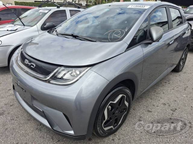 2024 BYD DOLPHIN 