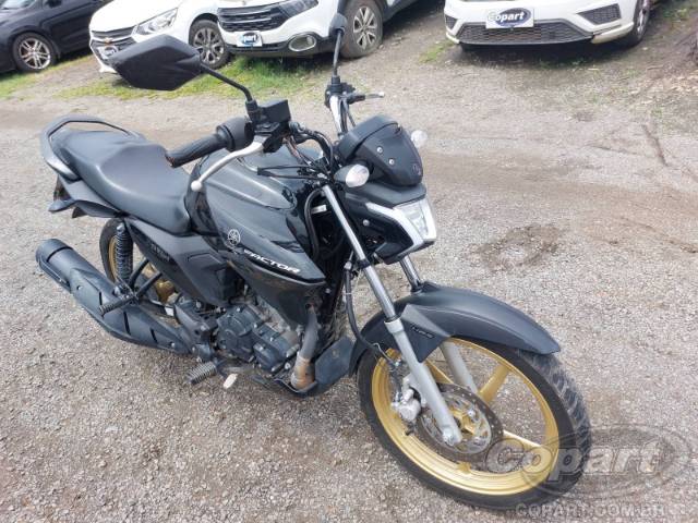 2025 YAMAHA FACTOR 