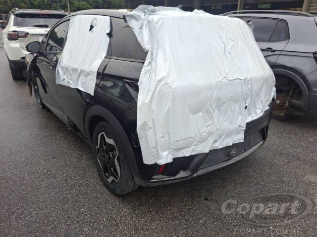 2024 BYD DOLPHIN 