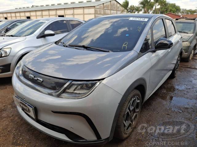 2024 BYD DOLPHIN 