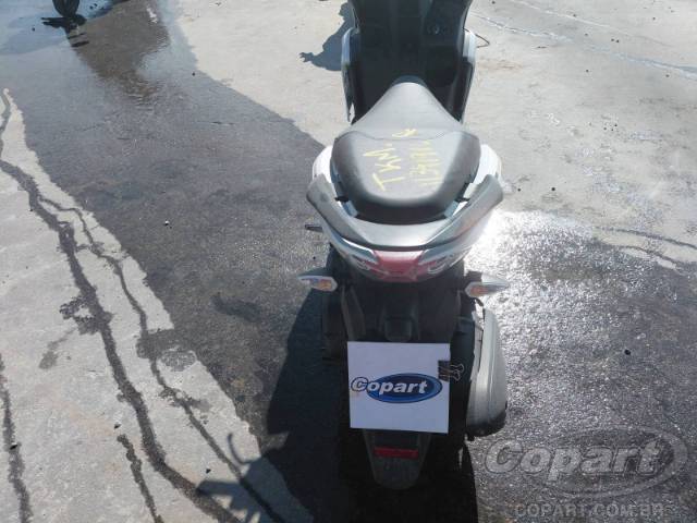2026 YAMAHA FLUO 