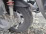 2026 HONDA ELITE 