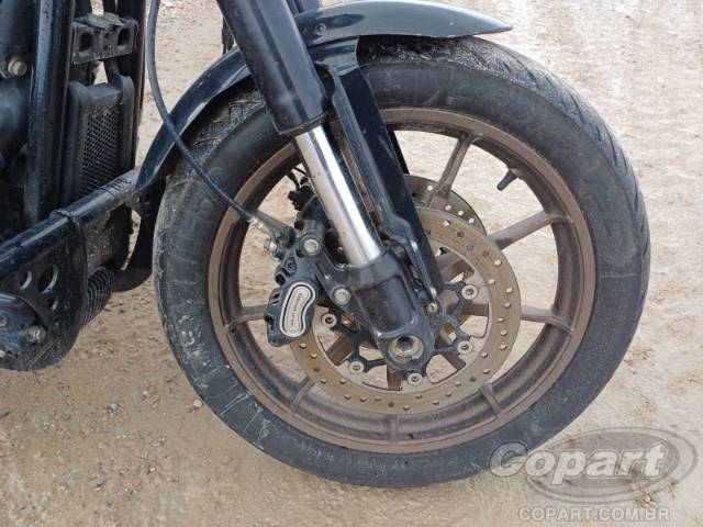 2020 HARLEY-DAVIDSON SOFTAIL 