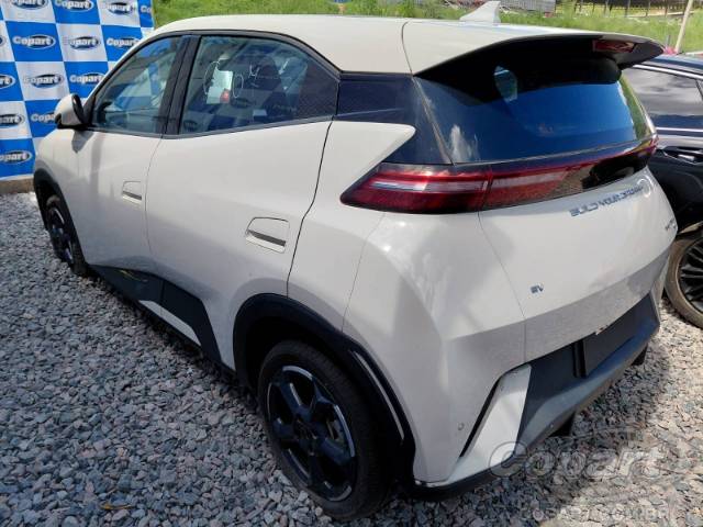 2025 BYD DOLPHIN MINI 