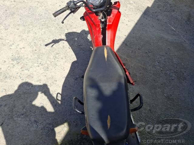 2021 HONDA POP 