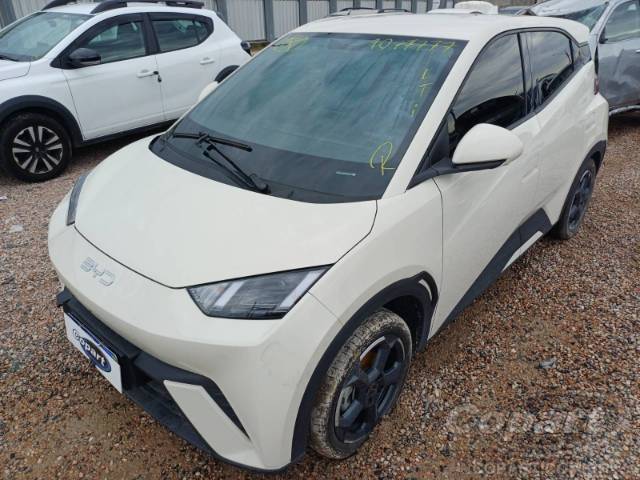 2025 BYD DOLPHIN MINI 