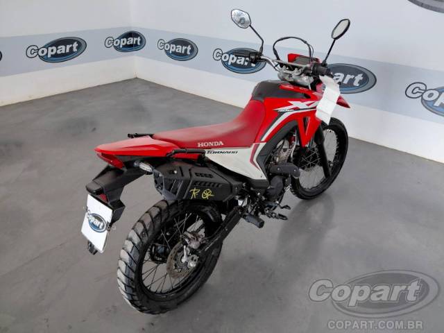 2025 HONDA XR 300L 