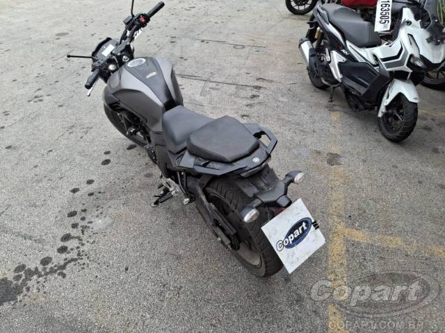 2024 YAMAHA FZ25 FAZER 