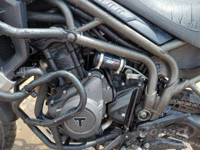 2020 TRIUMPH TIGER 
