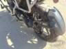 2025 TRIUMPH TIGER 