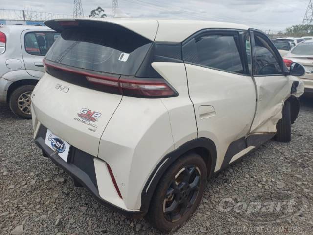 2026 BYD DOLPHIN MINI 