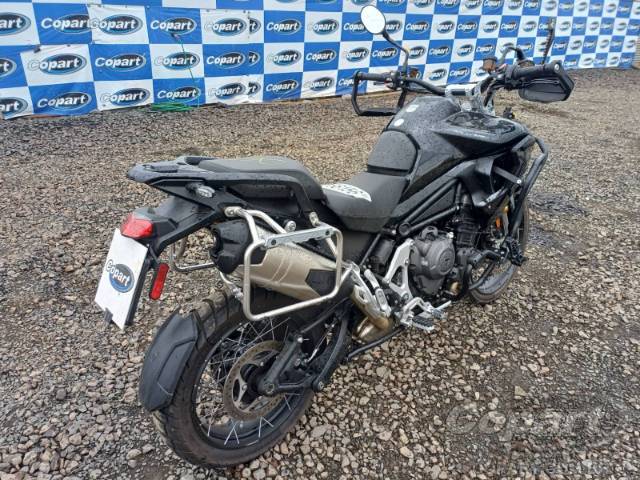 2024 TRIUMPH TIGER 