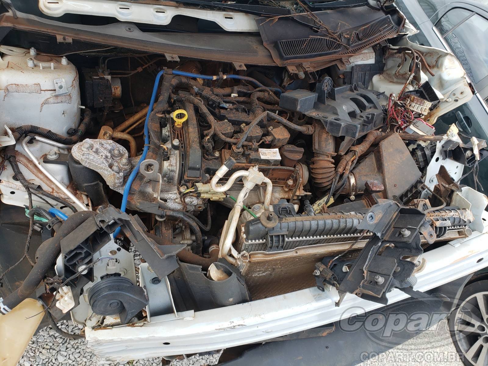 Foto 7 de 10: 2018 FORD KA
