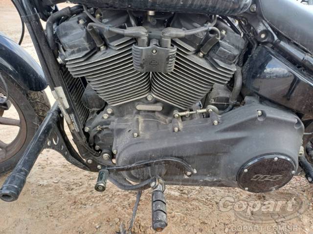 2020 HARLEY-DAVIDSON SOFTAIL 