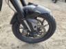 2024 TRIUMPH TIGER 