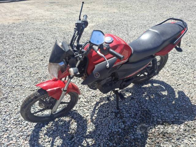 2024 YAMAHA YBR 150 FACTOR 