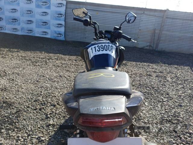 2024 YAMAHA YBR 150 FACTOR 
