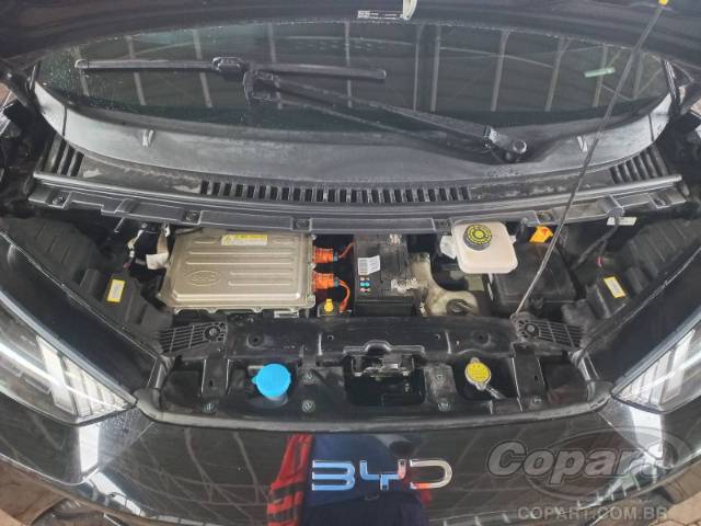2025 BYD DOLPHIN MINI 