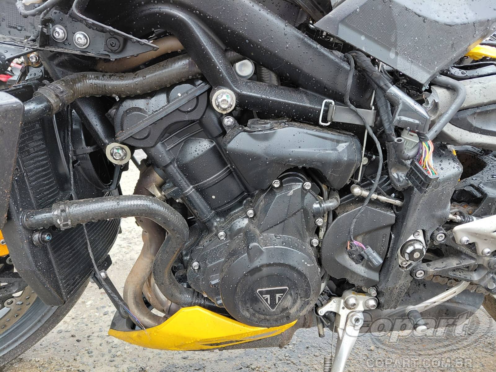 2025 TRIUMPH STREET TRIPLE — leilão em Caçapava/SP (foto 6)