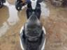 2025 HONDA ELITE 