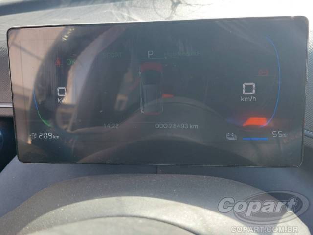 2025 BYD DOLPHIN MINI 