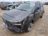 2023 FIAT PULSE 
