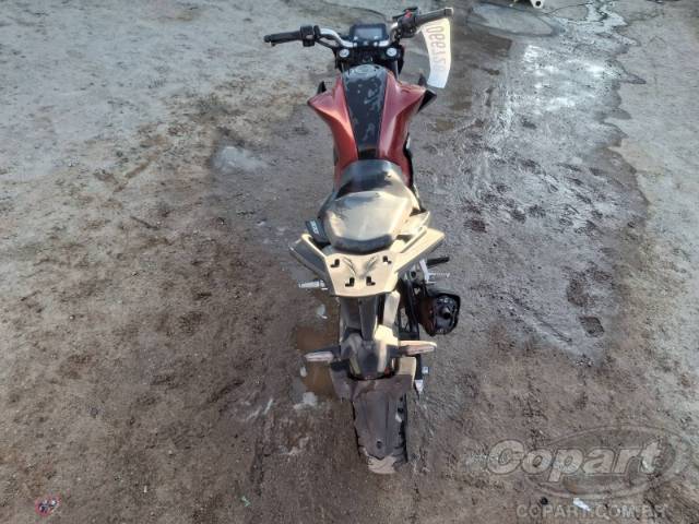 2025 HONDA CB 300F 