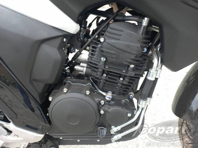 2025 YAMAHA FZ25 FAZER 