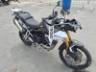 2025 TRIUMPH TIGER 