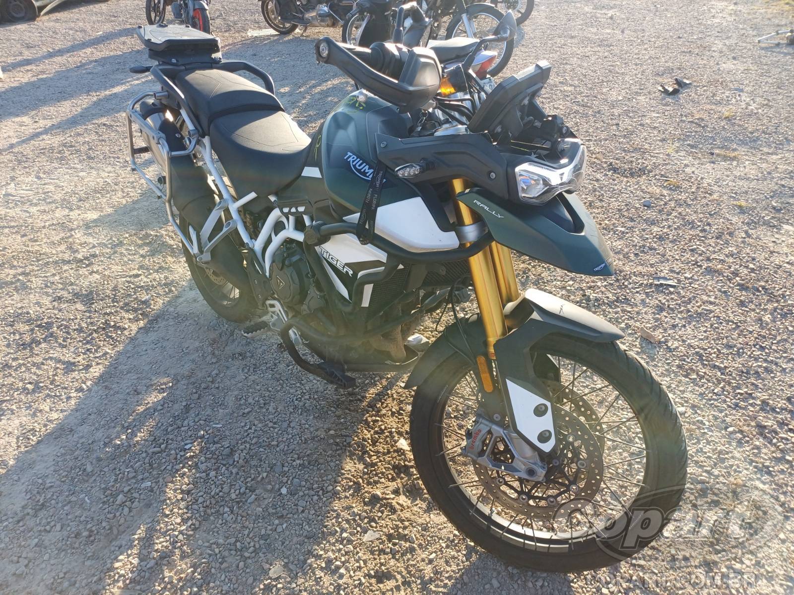 Veículo TRIUMPH Tiger 2023 TRIUMPH TIGER 900 Rally 2023 em leilão
