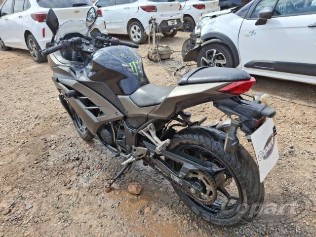2015 KAWASAKI NINJA 300 
